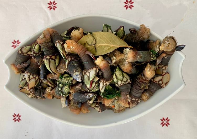 Simple Way to Make Homemade Barnacles