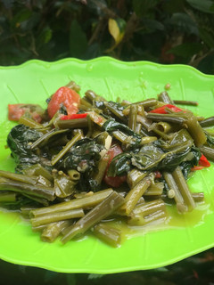 Foto resep Tumis Kangkung