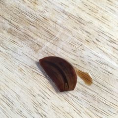 A picture of Soy Sauced garlic.