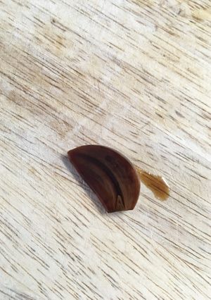 A picture of Soy Sauced garlic.