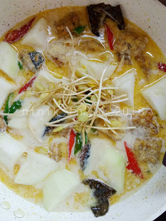 Foto resep Lodeh Tongkol plus Ale