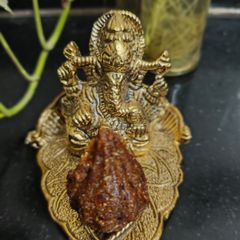 A picture of Sugar-free modak (dietfood).