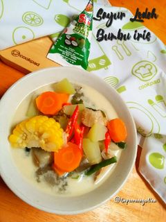 Foto resep Sayur Lodeh Bumbu iris