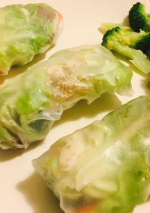 Foto principal de Rollitos veganos de verdura