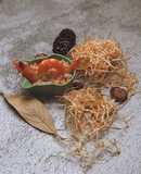 Cơm chiêm tôm rắc gia vị cho bé