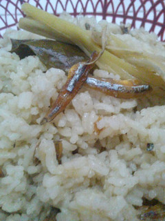 Foto resep Nasi Liwet Tim (Sunda)