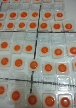 Foto resep Pudding telur ceplok