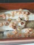 Filetes de gallo (pescado) al horno