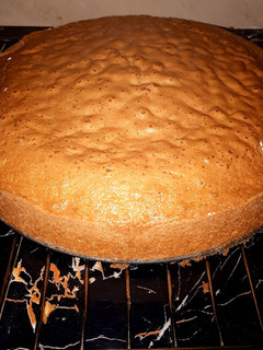 A picture of Orange Cake.