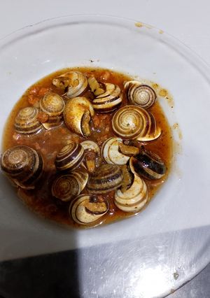 Una foto de Caracoles Guisados