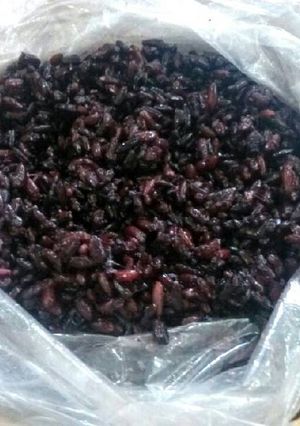 Hình của món Rượu nếp cẩm.