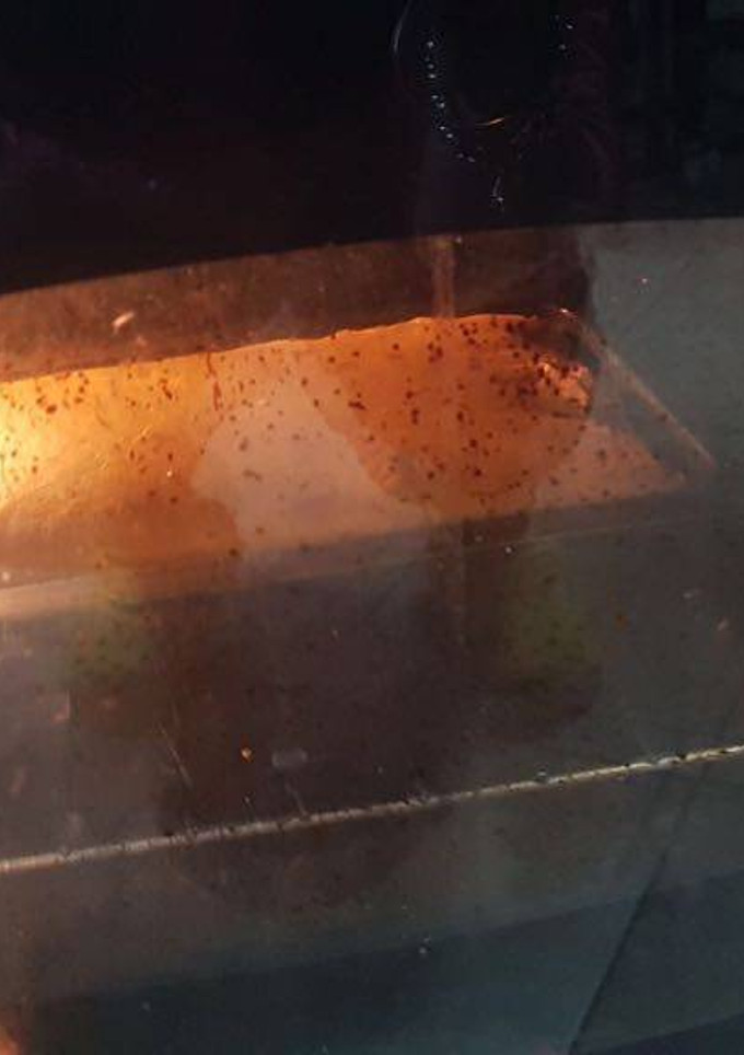 Una foto de Fainá de queso y morrón en licuadora