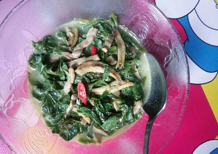  Resep  Sayur daun  singkong masak  teri tempe yummy oleh 