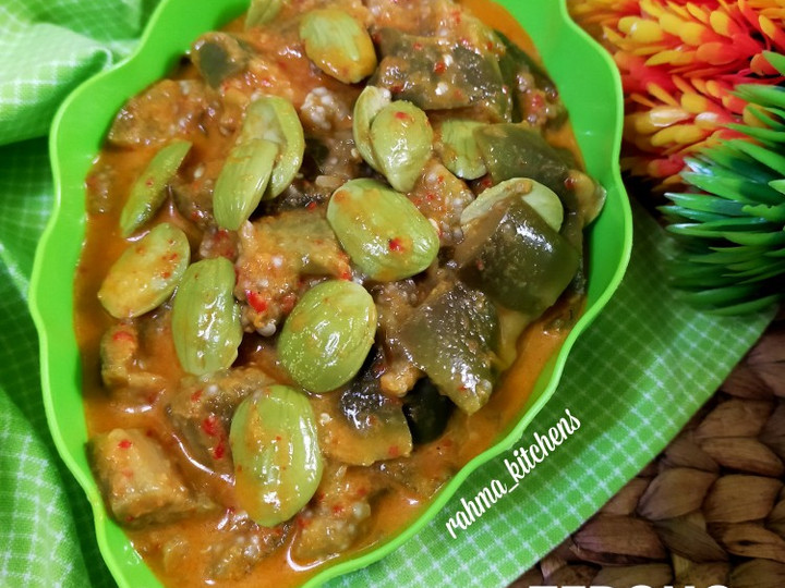 Resep Terong Masak Kuah Santan Anti Gagal