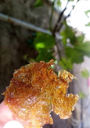 عکسی از دستور لواشک خوشمزه گوجه سبز