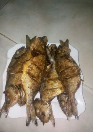 صورة لوصفة سمك الدوراد بتتبيلة رائعة