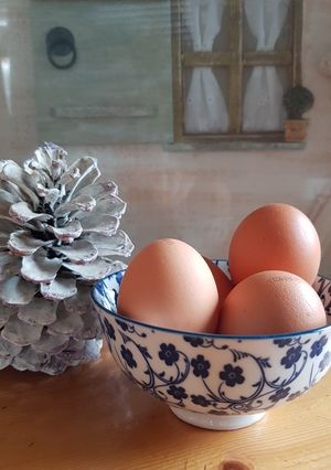 Une photo de Oeufs au lait