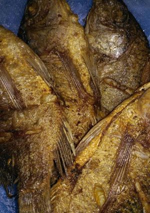 Foto resep Mujaher Goreng