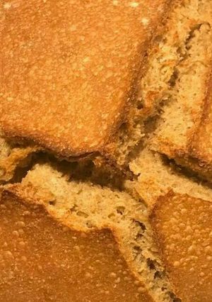Foto resep Roti sourdough / Sourdough bread