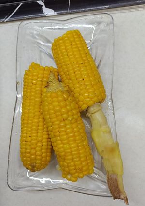 عکسی از دستور ذرت بخار پز