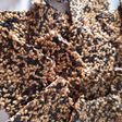 મીક્સ ચીકી (Mix Chiki Recipe In Gujarati)
