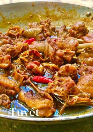 Hình của món Vịt kho gừng sả.