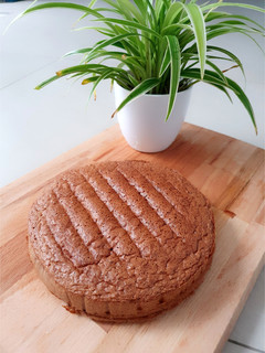 Foto resep Chocolate Sponge Cake