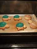 Conchas