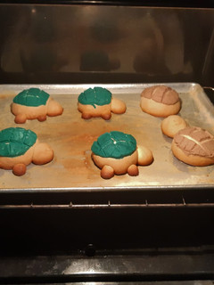 Una foto de Conchas