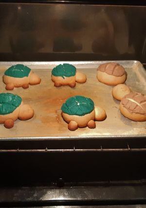 Una foto de Conchas