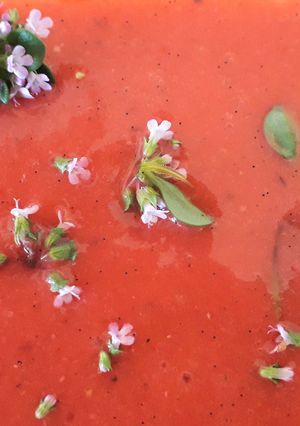 Une photo de Gaspacho tomate,fraise au thym citronné