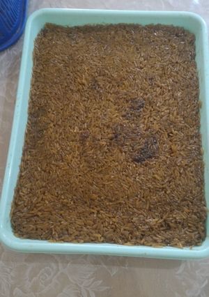 Foto resep Wajik Ketan Putih