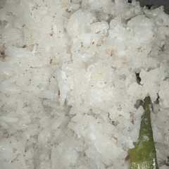 รูปของ Ketan kelapa kukus