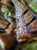 Hilsha vegetables curry