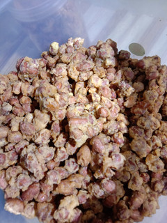 Foto resep Kacang kribo