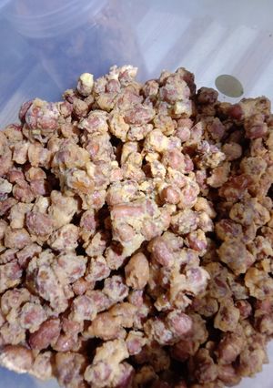 Foto resep Kacang kribo