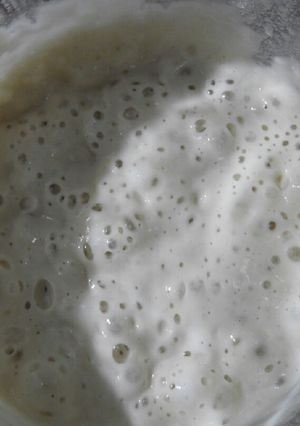 Φωτογραφία της συνταγής Προζύμι για Αρχάριους