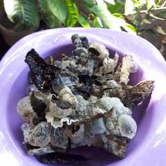 รูปของ Rice Paper Nori Kriuk