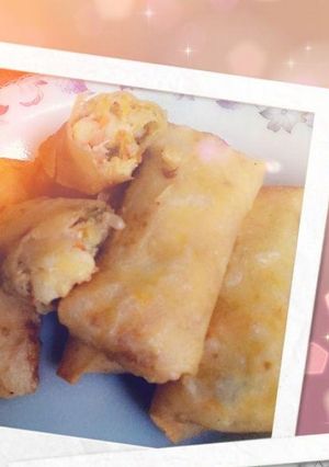 A picture of Chicken Veg Spring Roll.