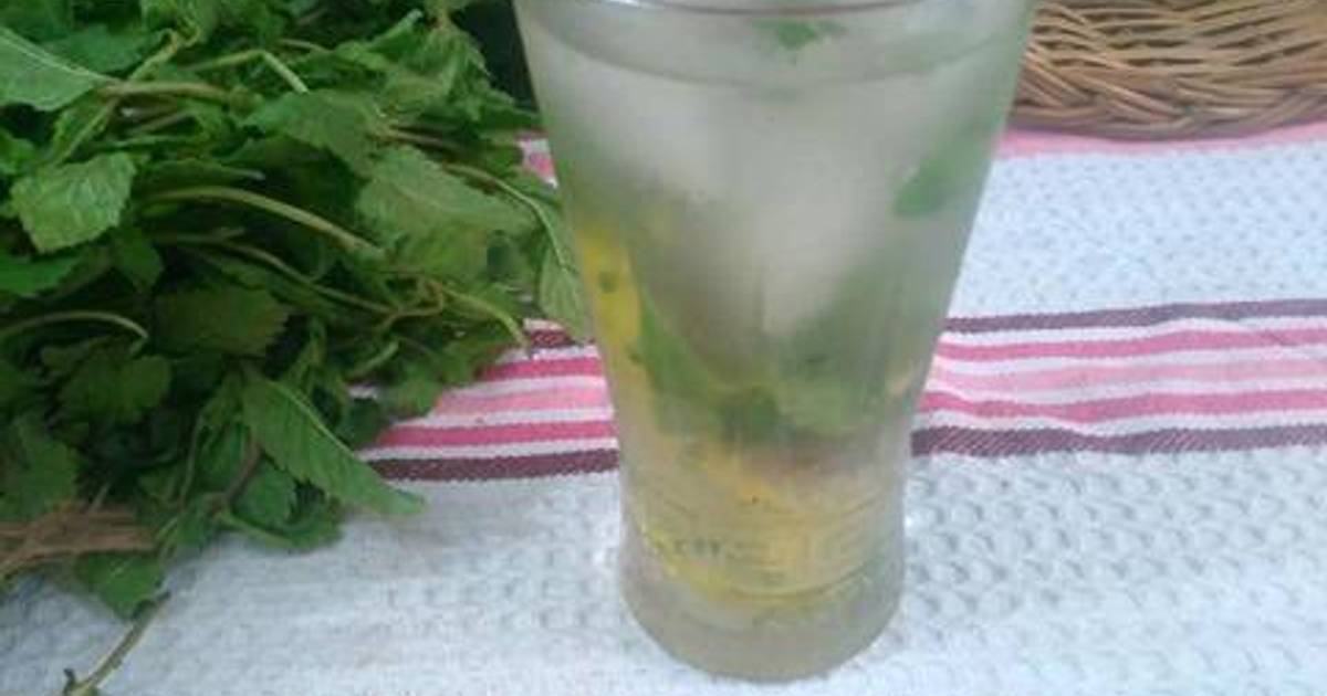 Virgin Mojito Recipe Mint Lime Mojito Vegecravings