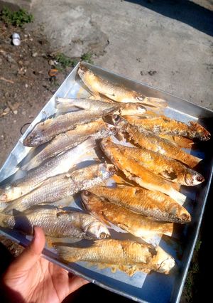 Foto resep Ikan Asin Homemade Bebas Bahan Pengawet