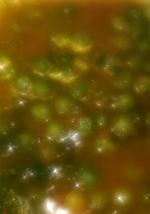A picture of Garden peas.