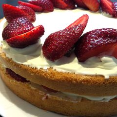 A picture of Strawberry Shortcake.