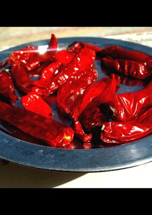 લીલા મરચા ની સૂકવણી (Lila Marcha Sukavani Recipe In Gujarati) રેસીપી મુખ્ય ફોટો