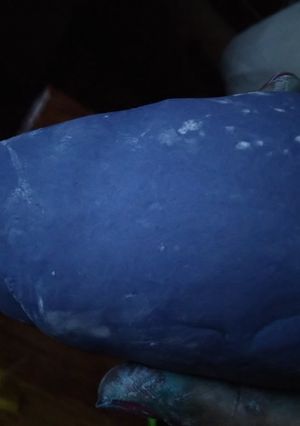A picture of Navy blue gumpaste.