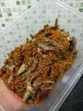 Serundeng Kelapa Ikan Wader (Serundeng Unjar / Serundeng Baby Fish)