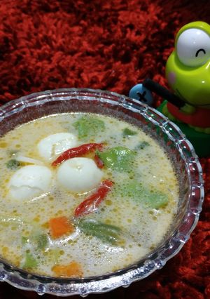 Foto resep Sayur Lodeh 💚
