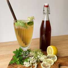 รูปของ Homemade elderflower sirup (sirup bunga rumahan)