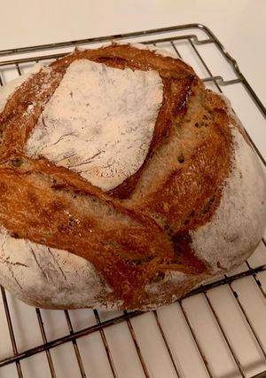 Una foto de El pan casero de masa madre 2.0