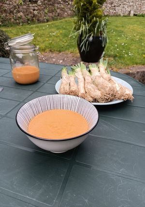 A picture of Salsa Calçots.